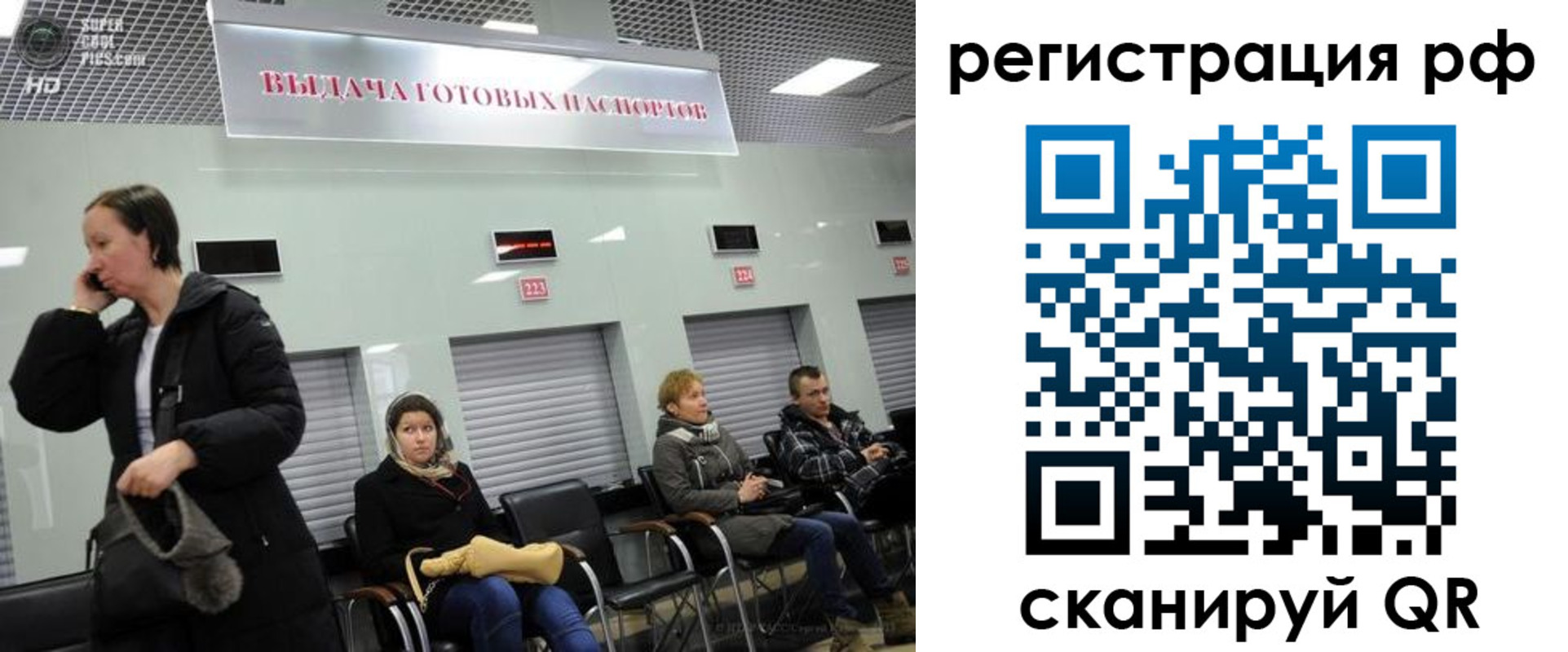 прописка для школы в Кировске